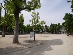 P1010389