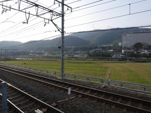 P1030139