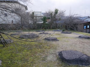 P1030335