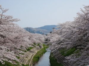 P1100411
