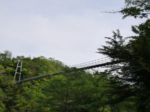 P1100511